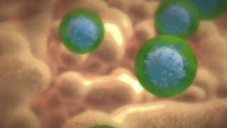 Erklärvideo Wie HIV das Immunsystem angreift [upl. by Darnall]