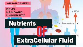 First Year Physiology Nutrients Of Extracellular fluid Explained by BEMSn Hamdard University [upl. by Camila]