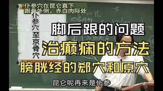 仆参穴到京骨穴 艾灸治疗癫痫 膀胱经的郄穴原穴介绍 [upl. by Gnehs253]