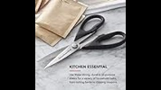 Stainless Steel Scissors [upl. by Nemlaz]