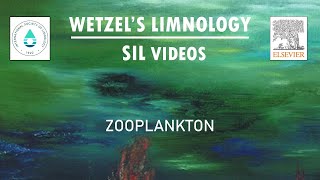 Zooplankton  Wetzels Limnology SIL Video [upl. by Efram431]