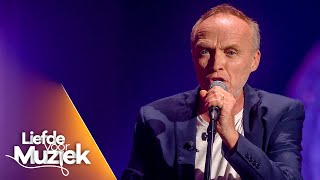 Stef Bos  ‘Vriend’  Liefde voor Muziek  seizoen 9  VTM [upl. by Chatterjee]