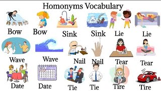 Homonyms Vocabulary Homonyms in English Common homonyms Words with Examples [upl. by Ttenna79]