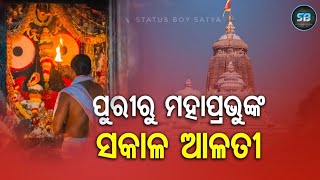 Morning Alati Of Lord Shree Jagannath In Shree Mandir Live [upl. by Noiraa]