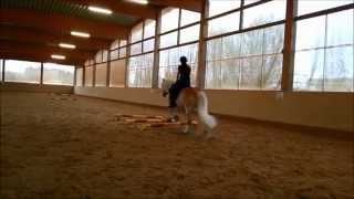 Cavaletti Training Mai 2015  quotSpringenquot [upl. by Nakre416]