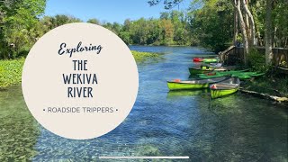 Wekiva Island  Kayaking to Wekiwa Springs State Park [upl. by Ayerhs445]