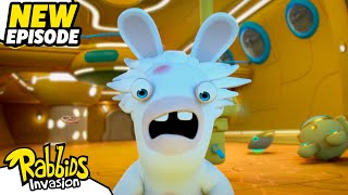 Mad Rabbid and the secret of the flying submarine S04E01  RABBIDS INVASION  Cartoon for Kids [upl. by Kciregor]