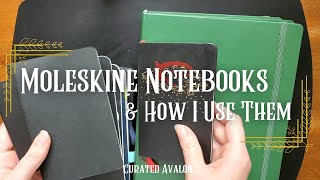 Moleskine Notebooks amp How I Use Them [upl. by Nedearb]