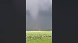 A tornado on July 13 2024 hit Šiauliai Lithuania causing major disruption and significant damage [upl. by Finnegan930]