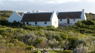 De Hoop Nature Reserve  Home of the Whale Trail [upl. by Luanni689]