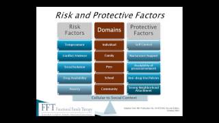 Functional Family Therapy  webinar from February 15 2013 [upl. by Ameer733]