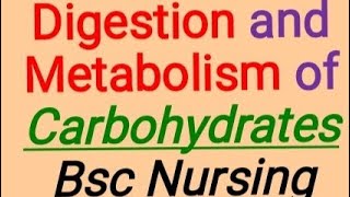 Digestion and Metabolism of carbohydrates Bsc Nursing [upl. by Lede612]