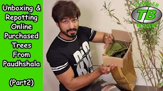 Unboxing amp Repotting online purchased trees from Paudhshalacom  Part 2 [upl. by Lowell]