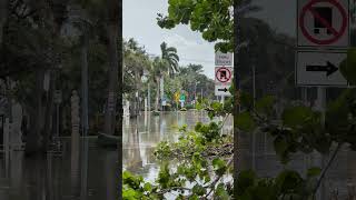 St Armands flooding after hurricane helene 2024 [upl. by Norym322]