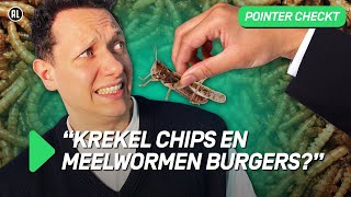 Zitten er insecten in ons eten zonder dat we het weten  POINTER CHECKT 36  NPO 3 [upl. by Atterys434]