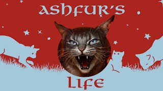 Ashfurs Life [upl. by Ahsikyt]