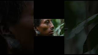 Apocalypto  Tamil dubbed  thrilling scene  Part  1  apocalypto malayalam tamil [upl. by Nonek]