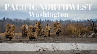 Duck Hunting in the PNW  Washington [upl. by Bren811]