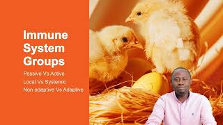 Poultry Immunology Video by Dr Kehinde Adebowale [upl. by Marder]