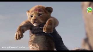 The Lion King Whatsapp status HD [upl. by Elly890]