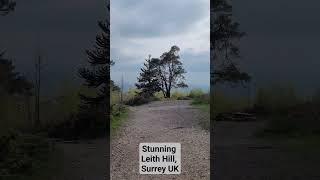 Stunning Leith Hill Surrey UK music soul nature treehugger viewpoint [upl. by Lavona]