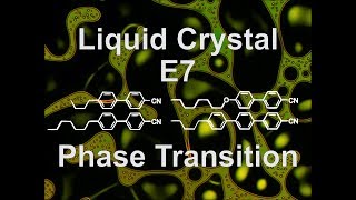 E7 Nematic Liquid Crystal Phase Transition Heating up [upl. by Eadahs]