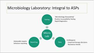 CIDRAP ASP  Improving the antibiotic stewardship value of clinical microbiology tests Dec 12 2017 [upl. by Steiner157]