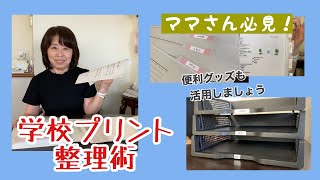 【算数】小443 整理のしかた① [upl. by Desi]