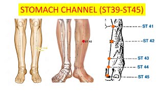 STOMACH CHANNEL OF FOOT YANGMING ST3945 [upl. by Austine]