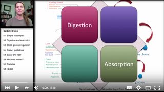 52 Carbohydrates Digestion and Absorption [upl. by Catharine]