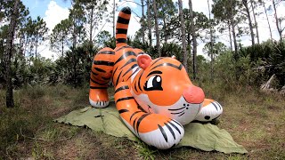 Massive 7FootLong Pouncing Tiger Ride on Pool Toy from SqueakCo [upl. by Atteuqal873]