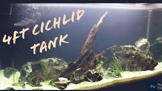 4FT Tank Cleaning  Cichlid Tank Hardscape aquraium fishes cichlids [upl. by Col318]