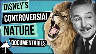 Disneys True Life Adventure Nature Documentary Films Explained [upl. by Kcirddahc545]