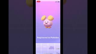 Catching a wild whismur in pokemongo pokemongo pokemon shinydratini shinyhunt shinypokemon pok [upl. by Nidnarb]