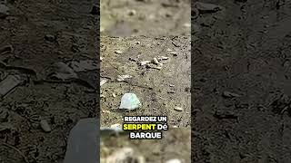 Cet homme ramène un poisson et découvre une incroyable surprise  pêche poisson surprise eau [upl. by Justin]