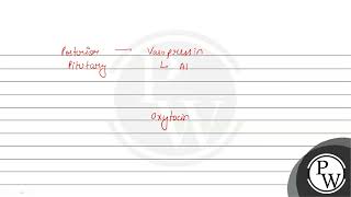 Hormones stored and released from neurohypophysis are [upl. by Nilac409]