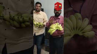 Inside ethylene gas chamber jaibharathnews banana [upl. by Steinberg]