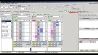 Corso Online FairBot  Software Betting Exchange [upl. by Raphaela811]