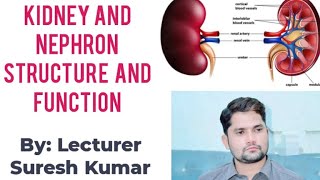 Kidney Nephron structure and function HindiUrdu By Sir Suresh Kumar [upl. by Yarod]