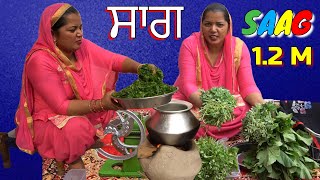 Saag  Sarso ka saag  Sarson ka saag [upl. by Eeraj65]