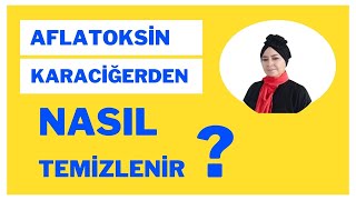 GIZEMİ ÇÖZÜLEN TEHLİKE ALFATOKSİN NEDİR VE GIDA GÜVENLİĞİNİ NASIL TEHDİT EDER [upl. by Margaux]