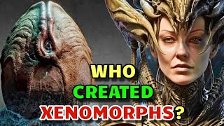 Top 9 biggest mysteries surrounding the Xenomorphs [upl. by Faxan]