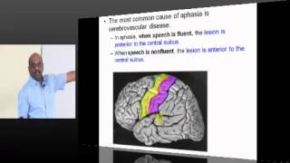 NEETPG Coaching Medicine Neurology Topic 10 Aphasia [upl. by Zobkiw]