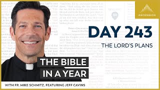 Day 243 The Lords Plans — The Bible in a Year with Fr Mike Schmitz [upl. by Funch106]