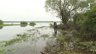 Coronavirus  Le lac de GrandLieu en mode confiné [upl. by Adnamaa857]