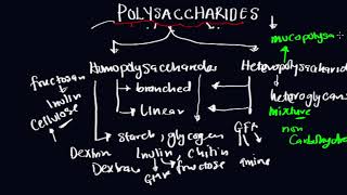 Polysaccharides  part 2 [upl. by Adair189]