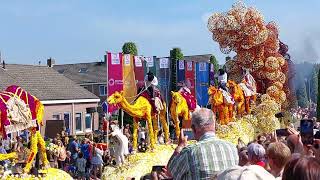 Bloemencorso Sint Jansklooster 2023 [upl. by Ecitsuj365]