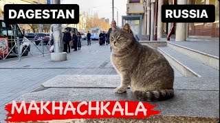 RUSSIA TODAY  Makhachkala Dagestan  December 2023 [upl. by Ttocserp]