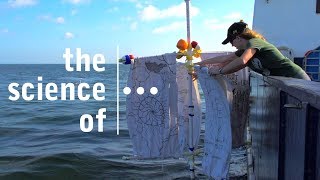 Making drifter buoys and tracking ocean currents with NOAA satellites even during a Hurricane [upl. by Ecinuahs]