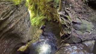 Canyoning  Blue Mountains Australia [upl. by Airenahs]